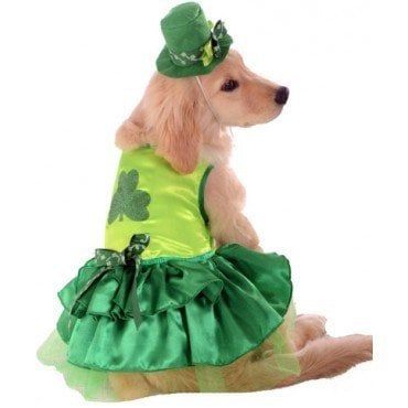 Dog Costume Lucky Small