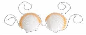 Shell Bra