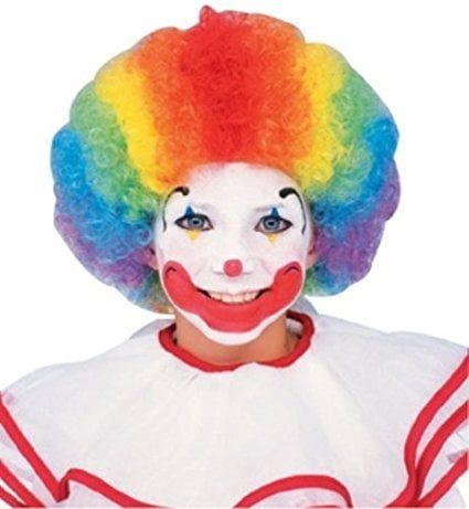 Child Clown Wig
