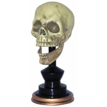 Skull On Pedestal