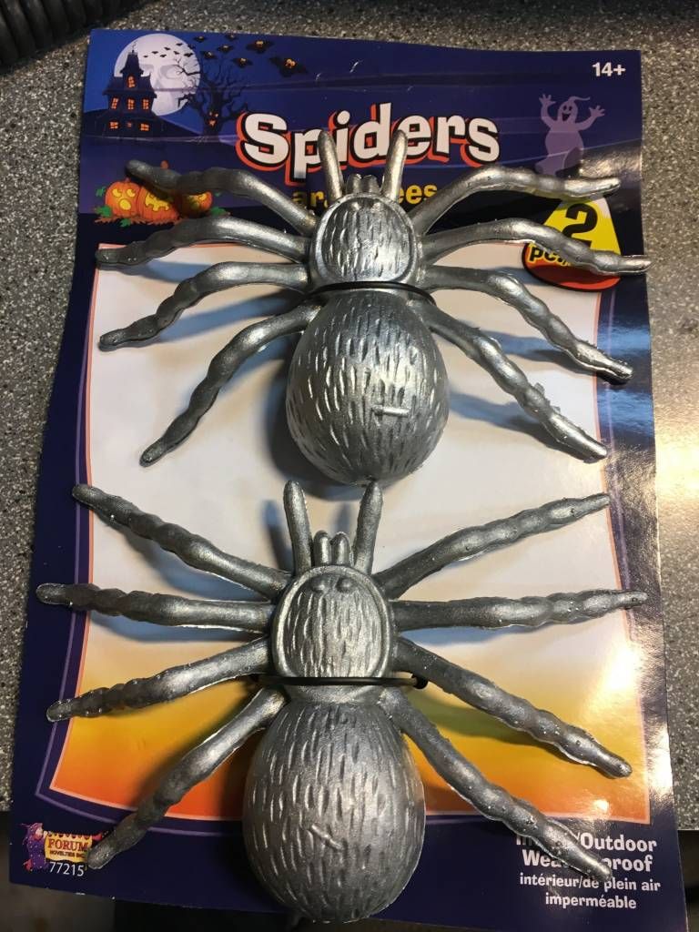 Silver Spider (2)