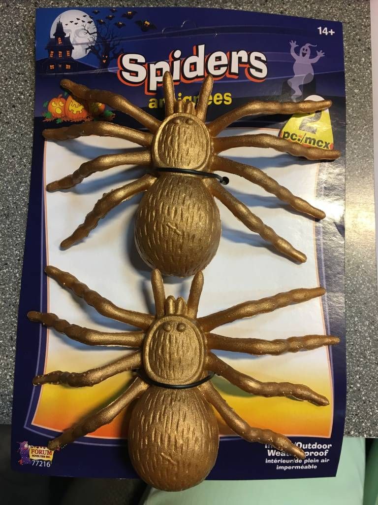 Gold Spider (2)