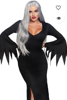 Floor Length Gothic Dress S/M Costume