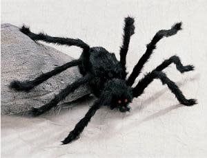 Black Spiders Small