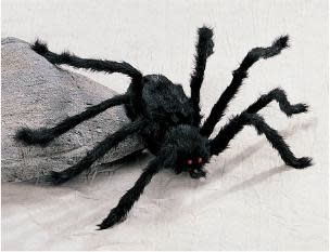 Black Spiders Medium