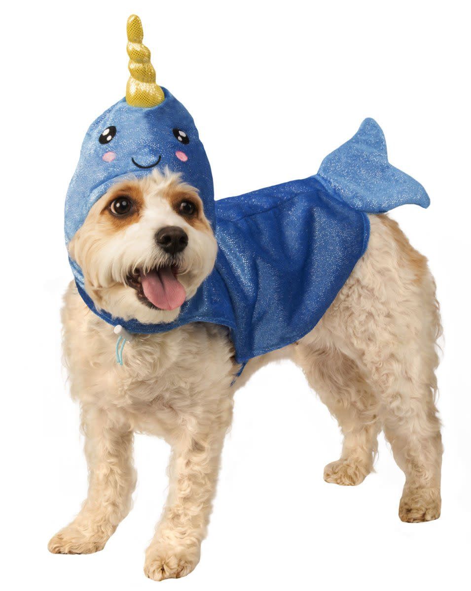 Pet Narwhal Pet Small Costume