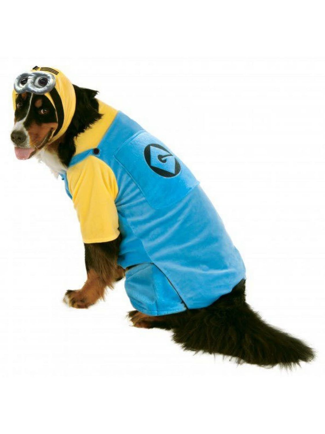 Pet Minion X-Large Costume – Despicable Me 2
