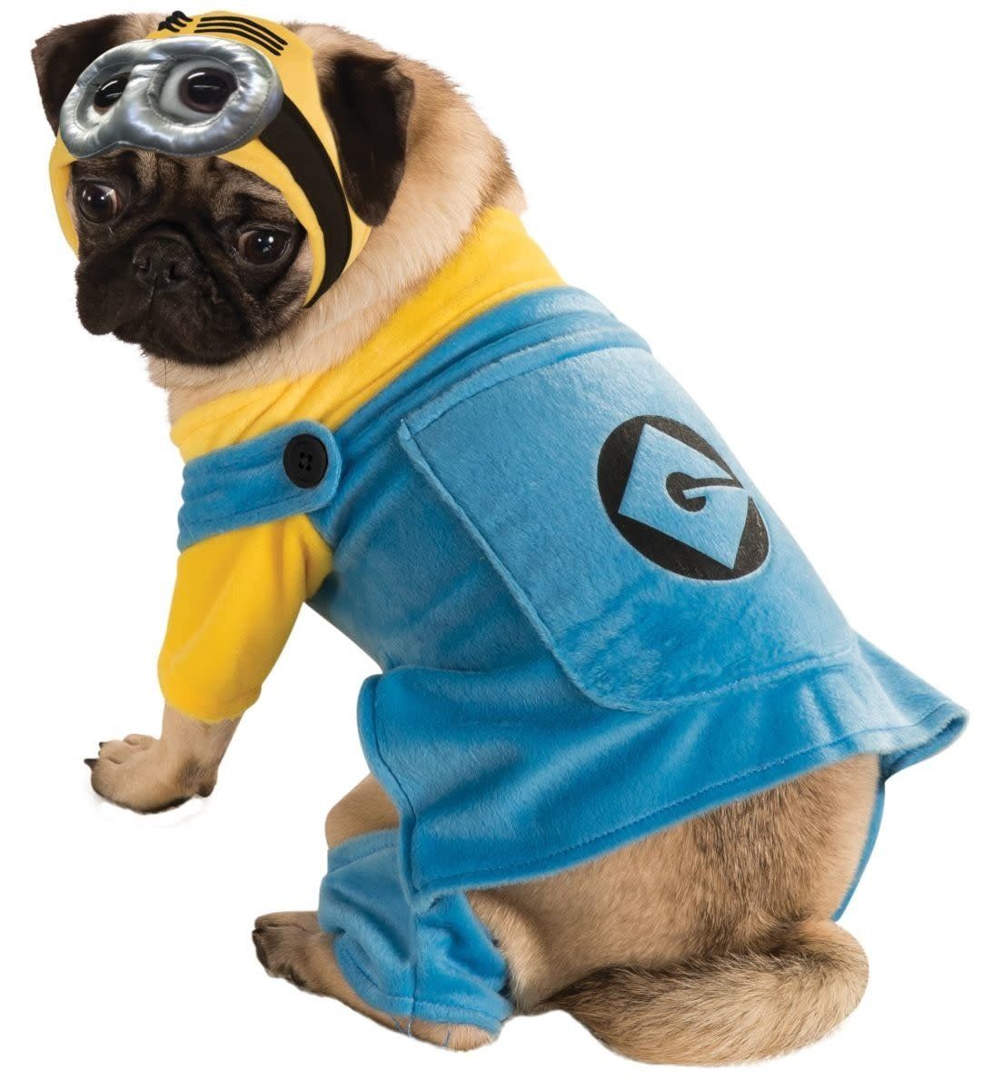 Pet Minion  Small Costume – Despicable Me 2