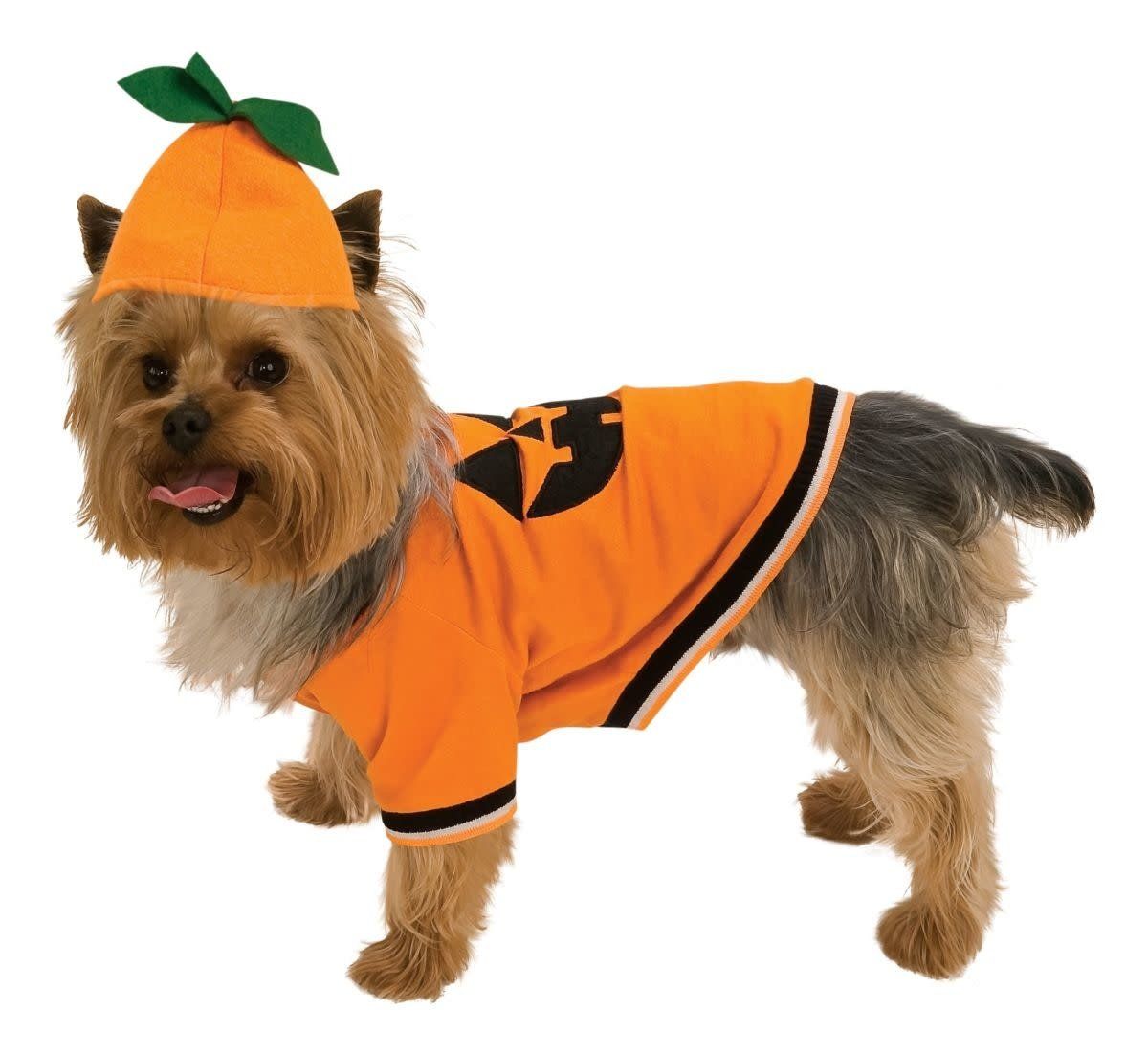 Pumpkin Pet Costume Large