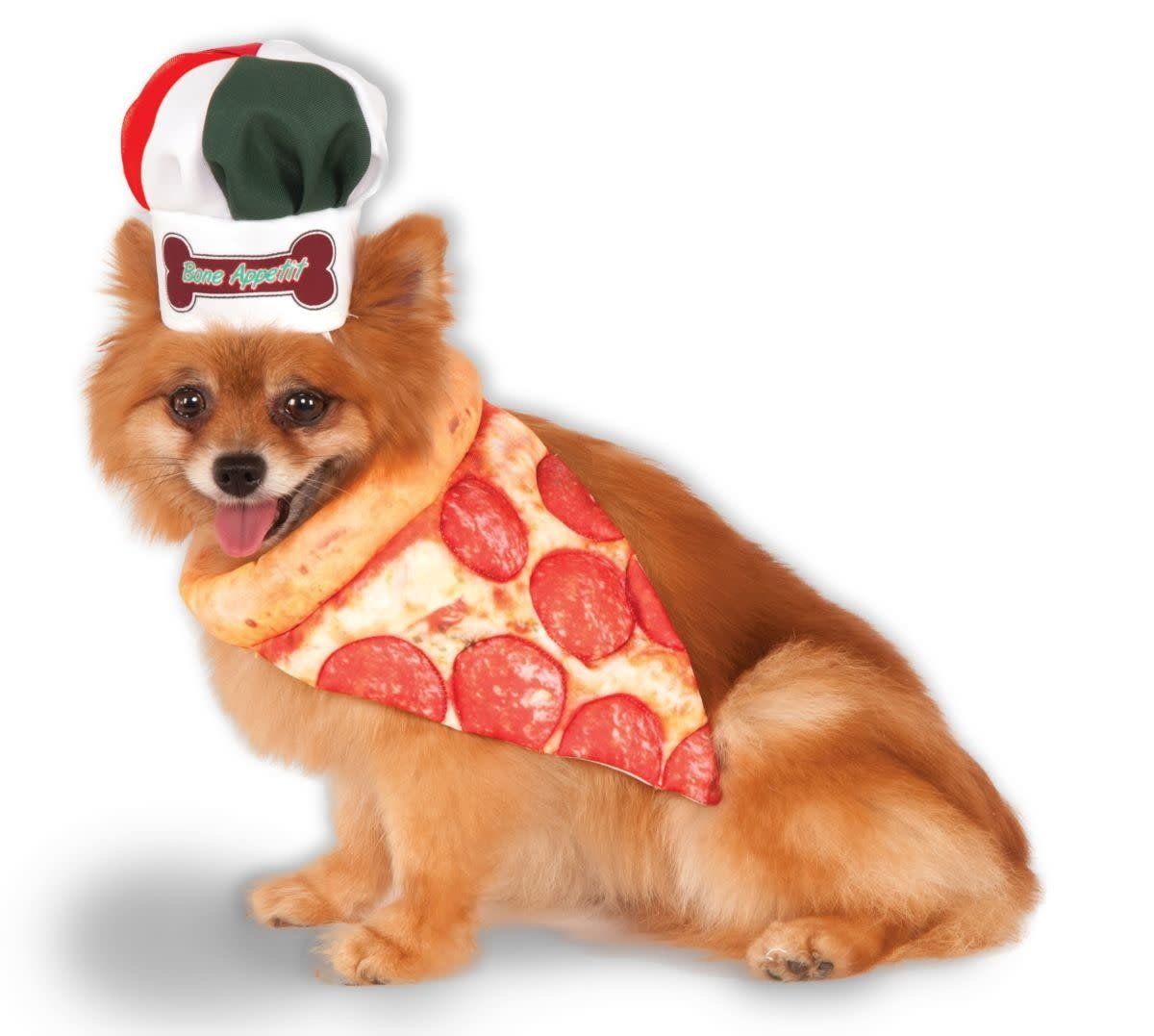Pizza Chef Kit Pet Small Costume