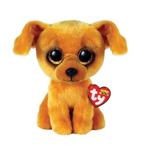 Beanie Boo Dog Zuzu