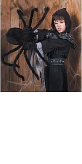 50&quot; Black Spiders with Jewel Eyes
