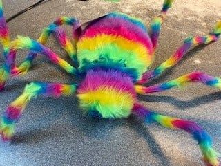 Large  Neon Rainbow Spider Ultraviolet