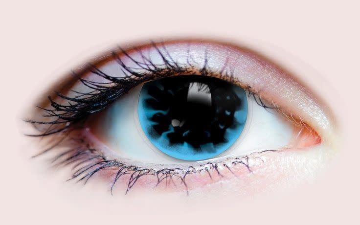 PRIMAL® Loki Contacts (90 Day)