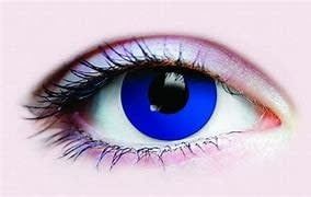 PRIMAL® Wonderland Contacts (90 Day)
