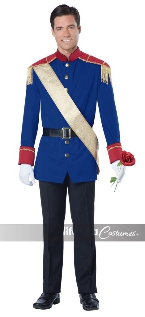 Men&#39;s Storybook Prince Large (42-44) Costume