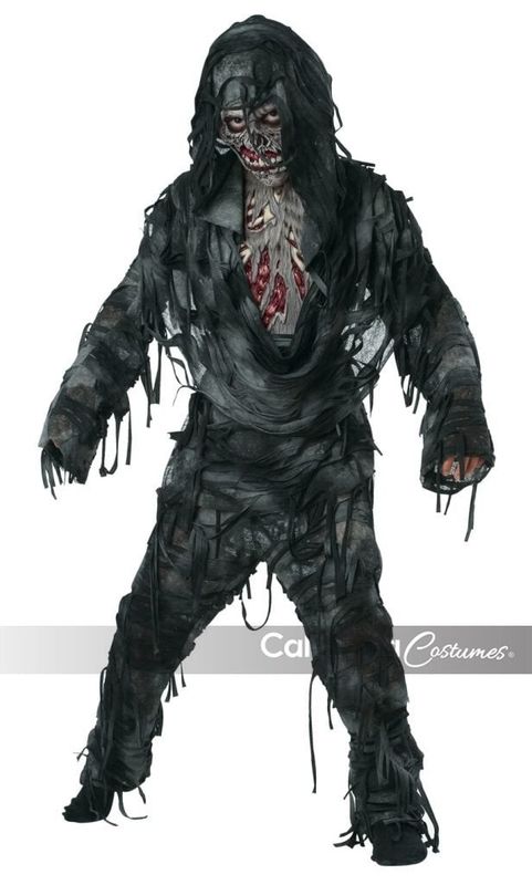 Boy&#39;s Rotten to the Core X-Large (12-14) Costume