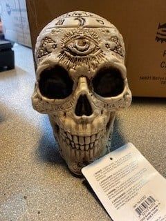 7&quot; Fortune Telling Plastic Skull