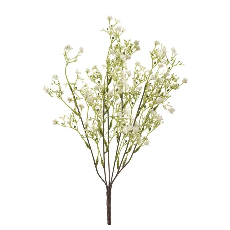 Baby's Breath White Bush