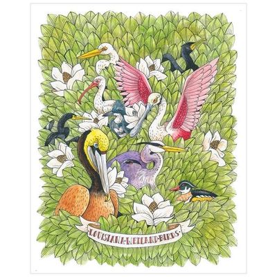 8x10 Louisiana Wetland Birds Print