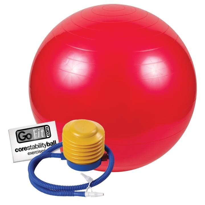 GOFIT STABLILITY BALL