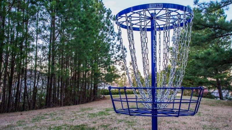 AXIOM LITE TARGET