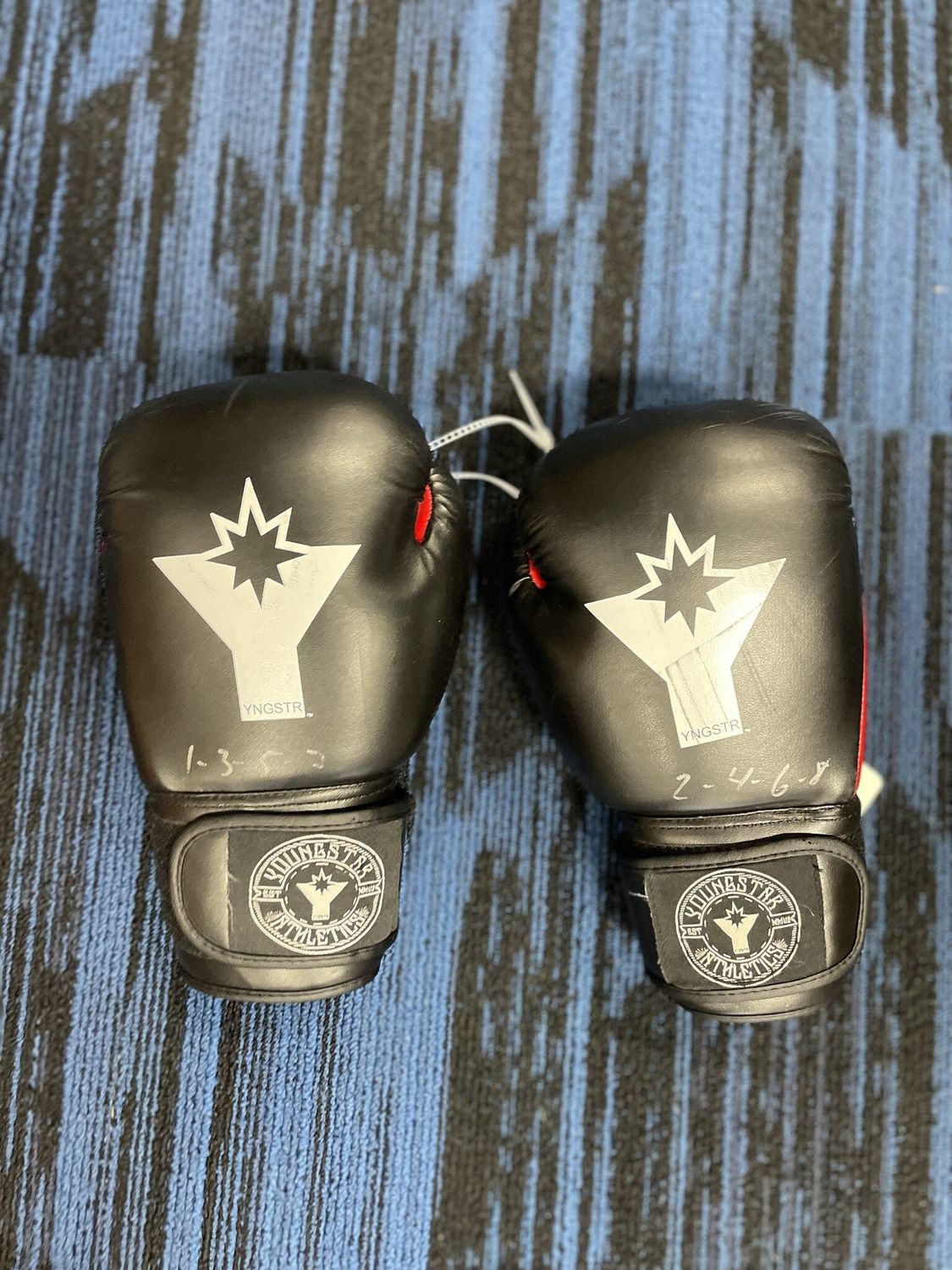 YOUNG STAR BOXING GLOVE PAIR