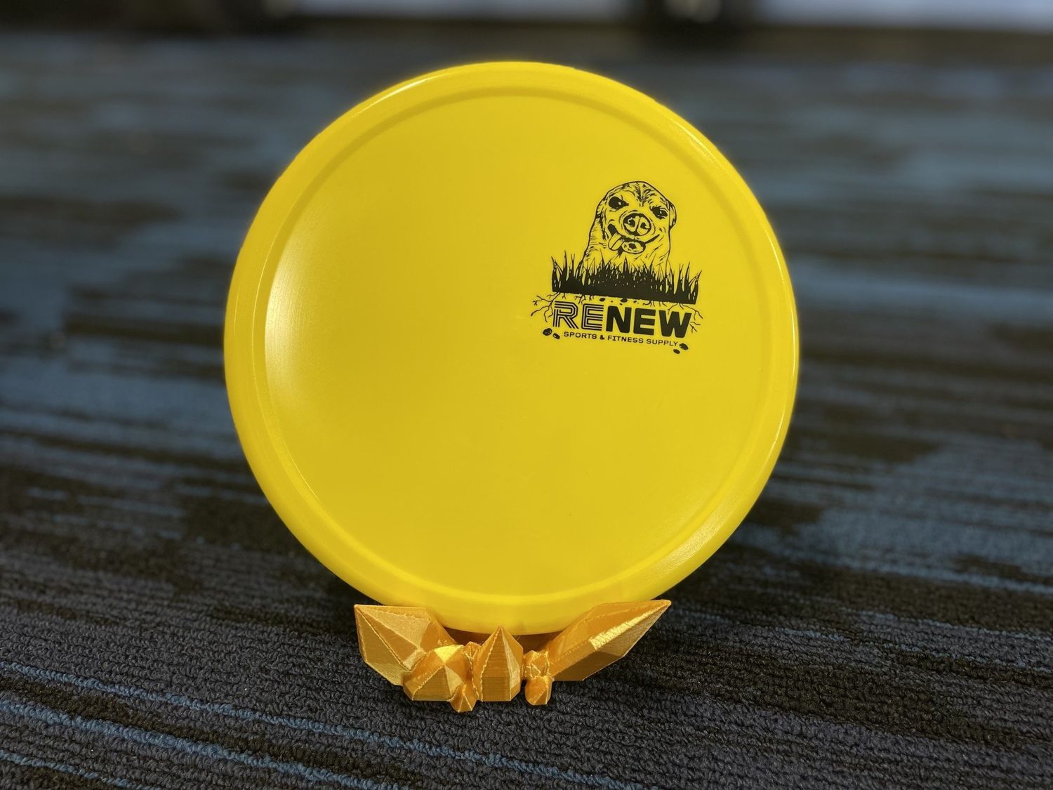 INNOVA R-PRO QUINCY PIG