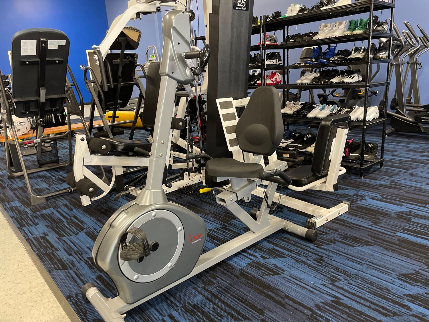 SUNNY FITNESS DUAL ACTION RECUMBENT BIKE