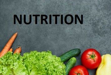 Personalized Nutrition