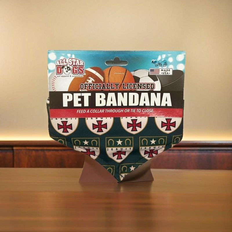 Pet Bandana Large