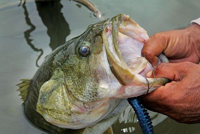 Fishing