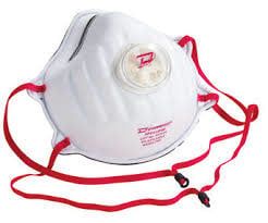 Disposable N95 Dust Masks 