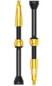 Lezyne, TLR, Tubeless Valve, Presta, 60mm, Gold