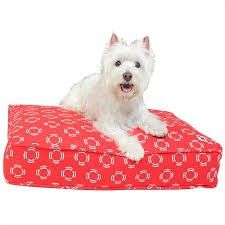 MOLLY MUTT LADY IN RED DUVET-S