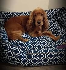 PLAY MORROCAN BED BLUE SM
