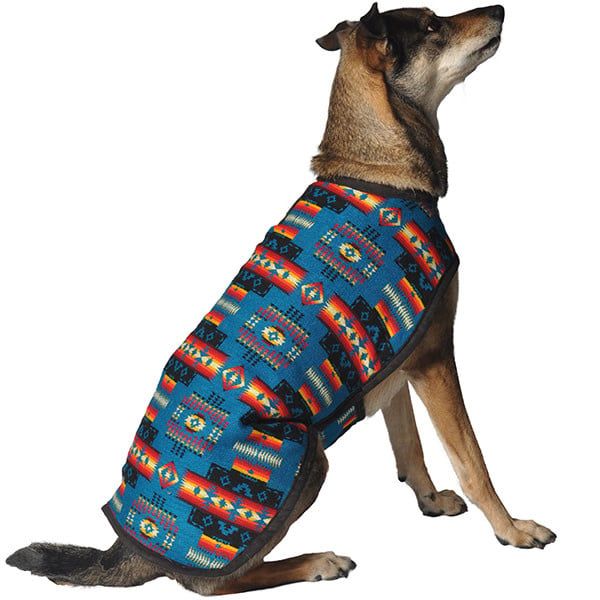 CHILLY DOG SWEATER