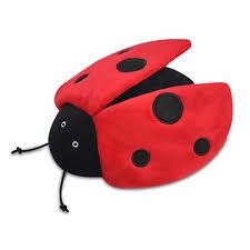PLAY LADY BUG