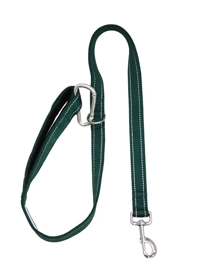 BAYDOG HUDSON LEASH 6&#39; GREEN