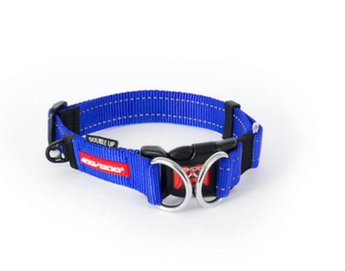 EZYDOG DOUBLE UP COLLAR BLUE L
