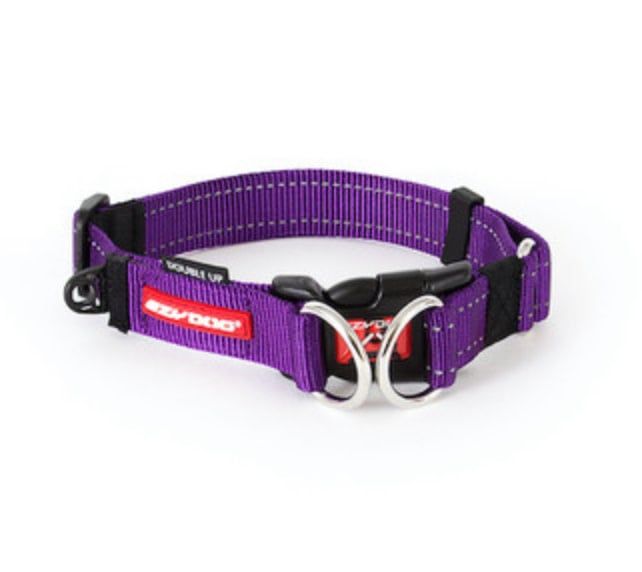 EZYDOG DOUBLE UP COLLAR PURPLE L