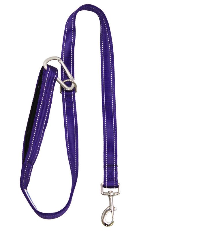 BAYDOG HUDSON BAY LEASH PURPLE--6&#39;