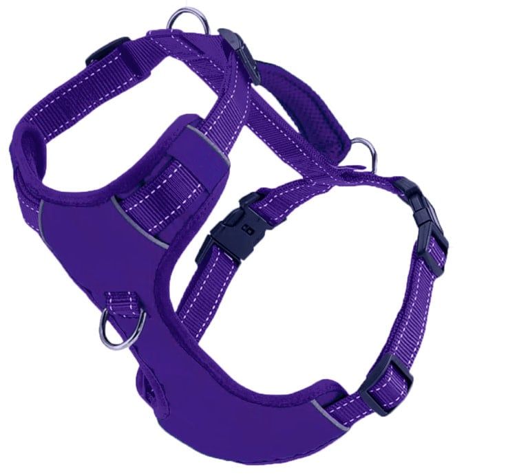 BAY DOG CHESAPEAKE BAY DOG HARNESS PURPLE--XL
