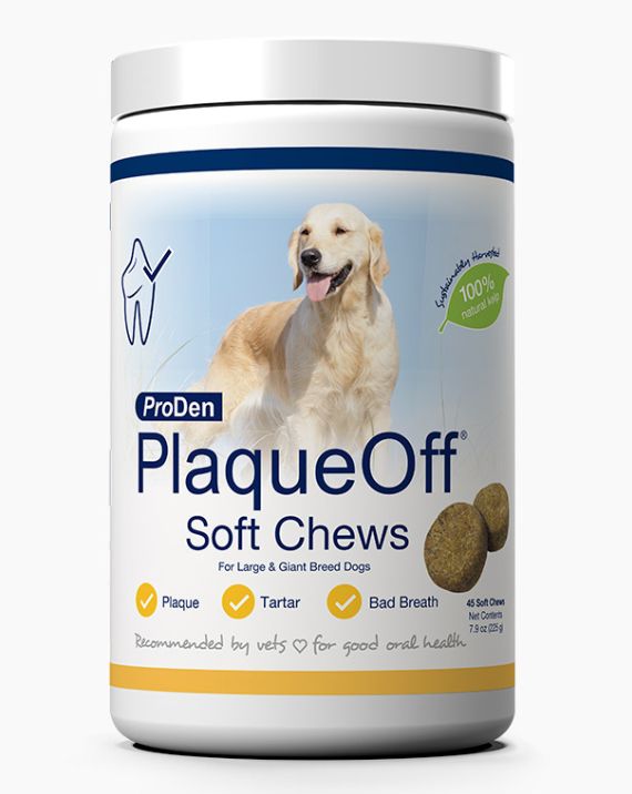 PRODEN PLAQUEOFF CHEW LARGE 45 CT