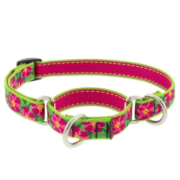 LUPINE 3/4 IN  PETUNIA 10- 14 MARTINGLE COLLAR