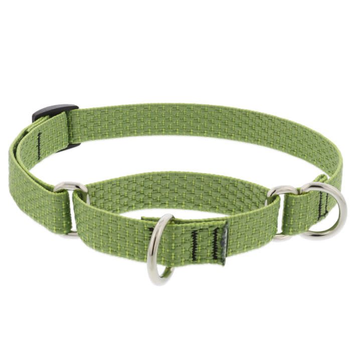 LUPINE 1IN MOSS 15-22 MARTINGALE COLLAR