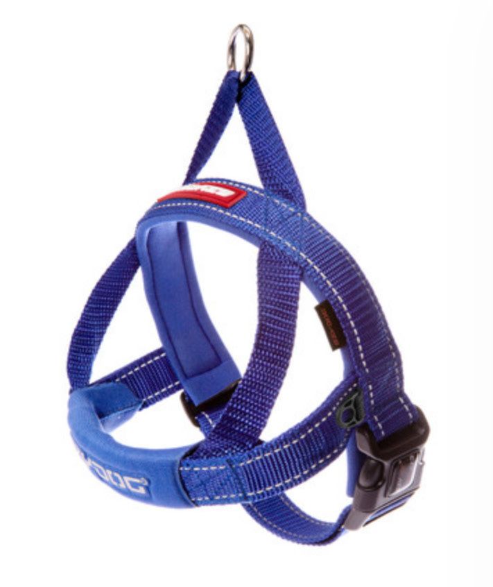 EZYDOG QUICKFIT BLUE HARNESS XL