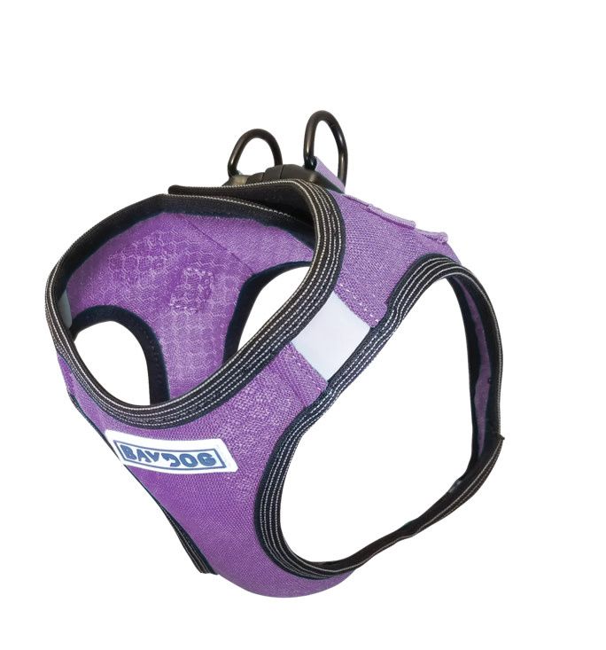 BAY DOG LIBERTY HARNESS VIOLET M