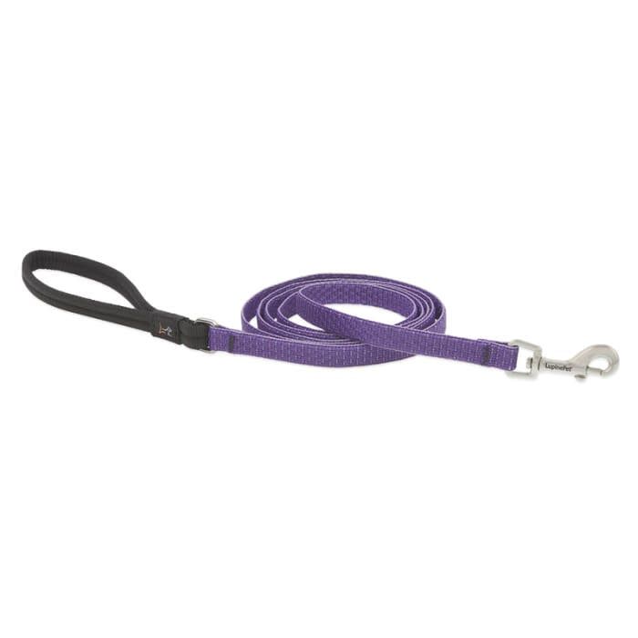 LUPINE 1IN LILAC LEASH 6FT