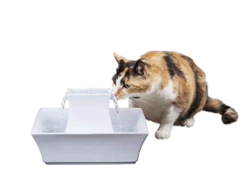 PETSAFE PAGODA CERAMIC WHT DRINKING WELL